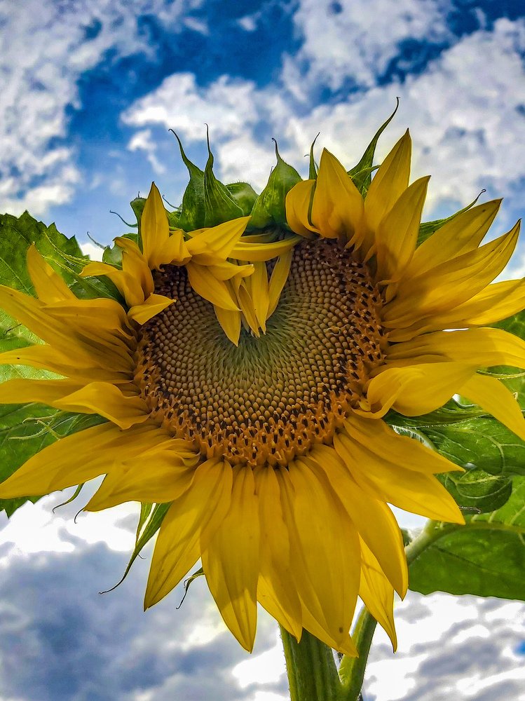 Photograph by Ксения Илюшина