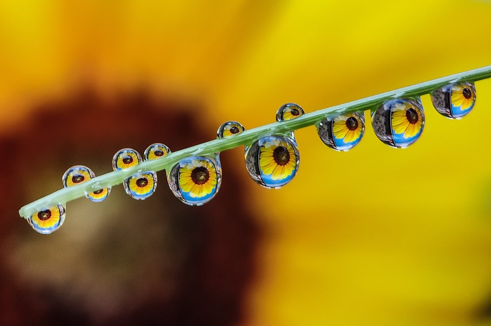 Photograph by Prity Goswami