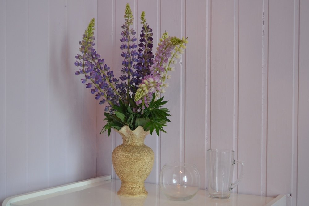 Photograph by александр фетисов