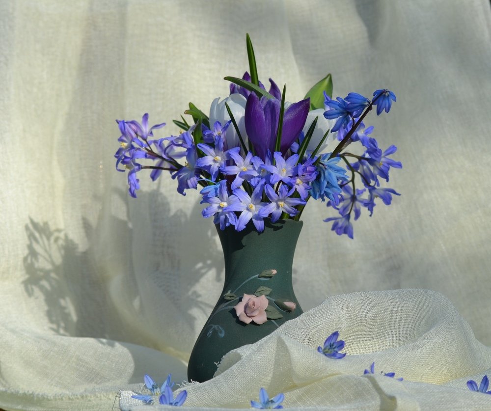 Photograph by александр фетисов