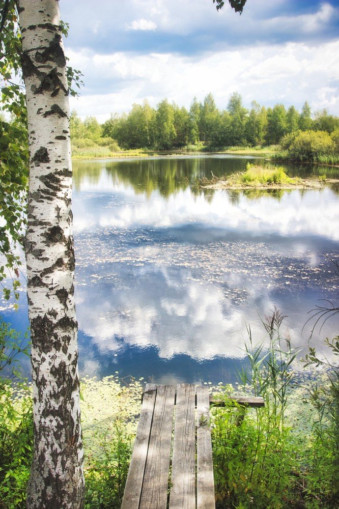 Photograph by Светлана Зайцева