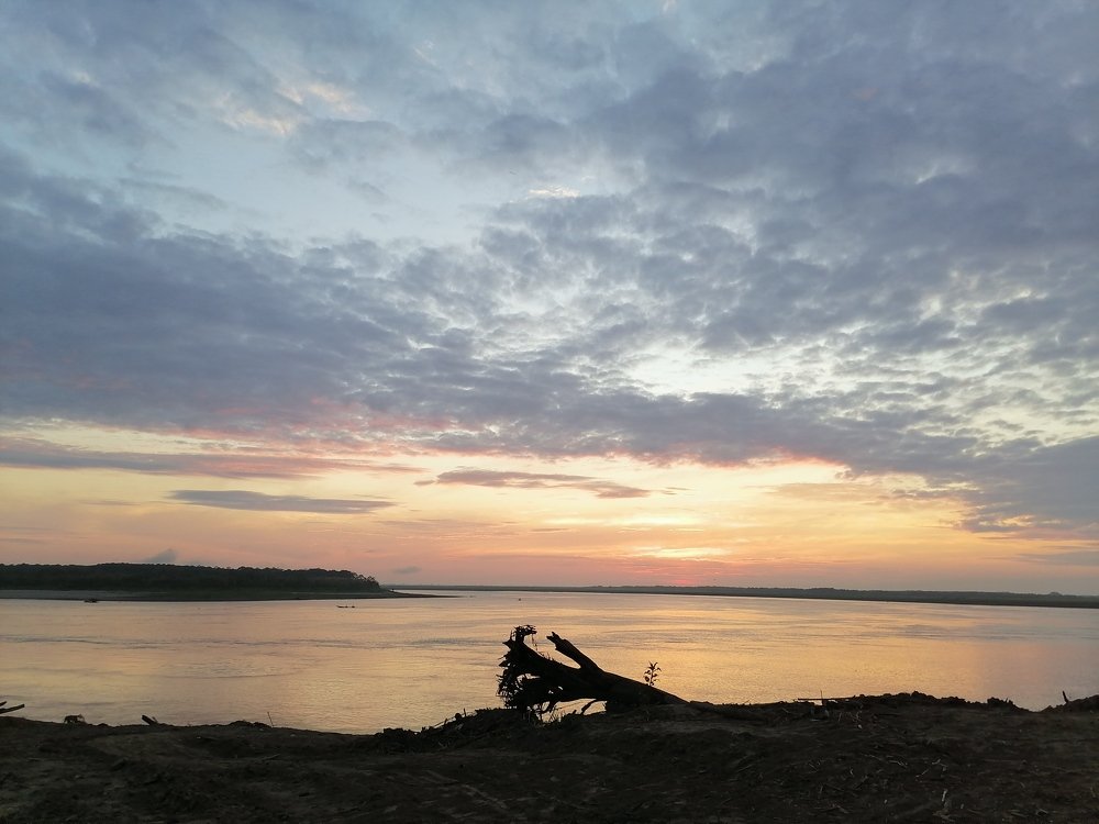 Photo #4895948