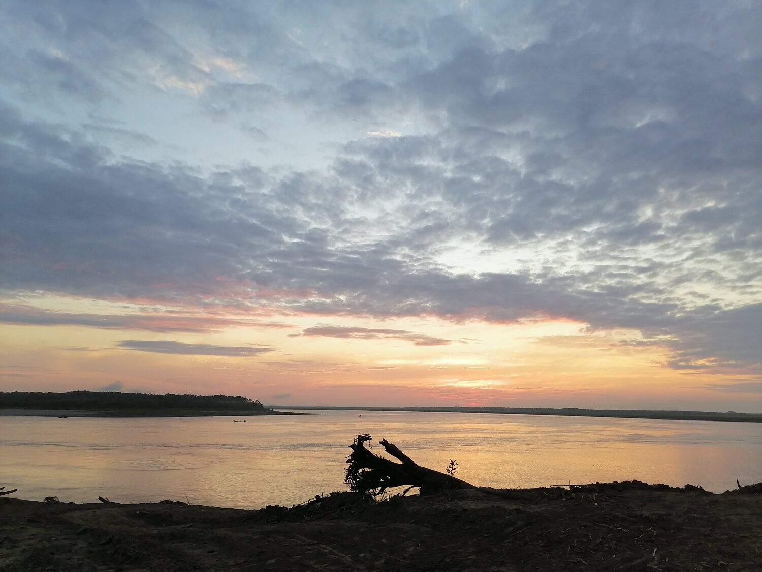 Photo #4895948