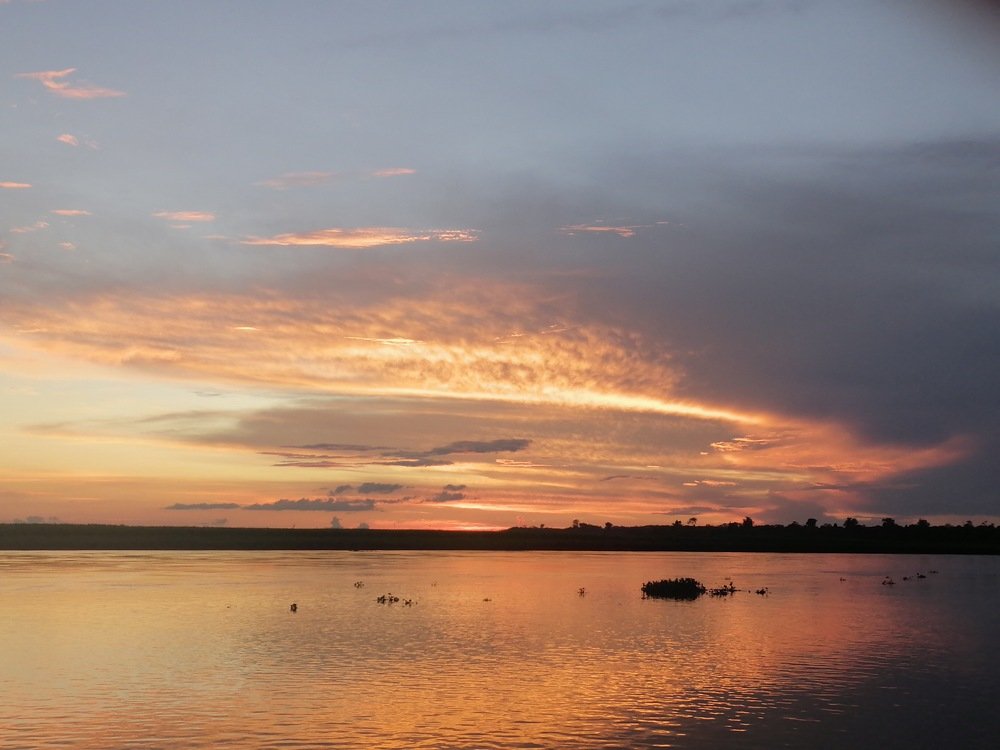 Photo #4895949