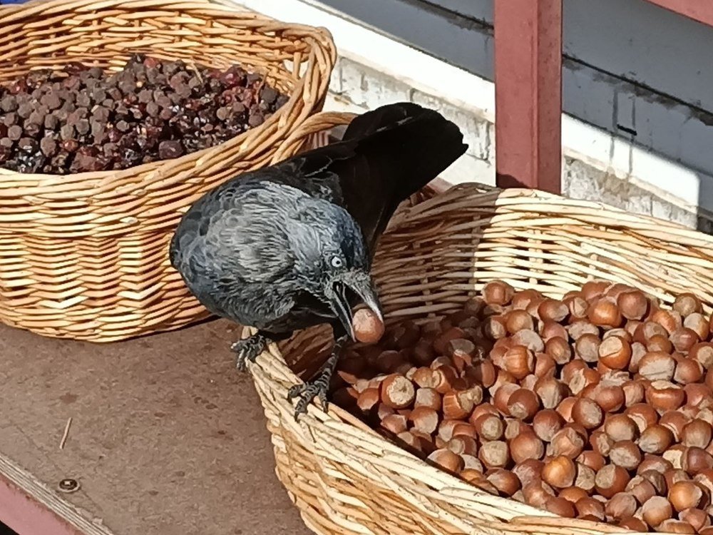 Photograph by Наталия Питолина