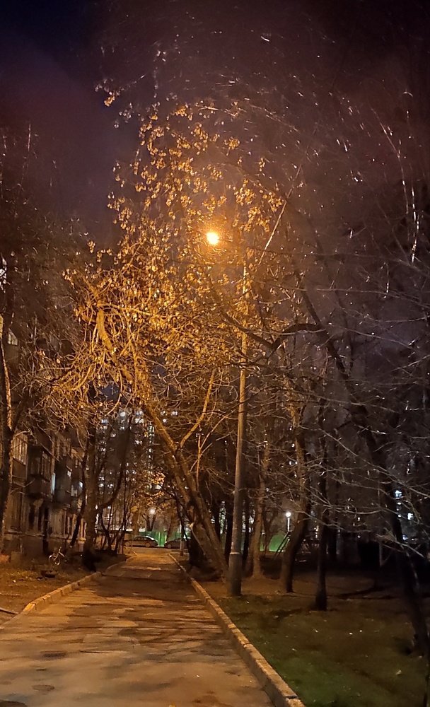 Photograph by Ирина Демидова