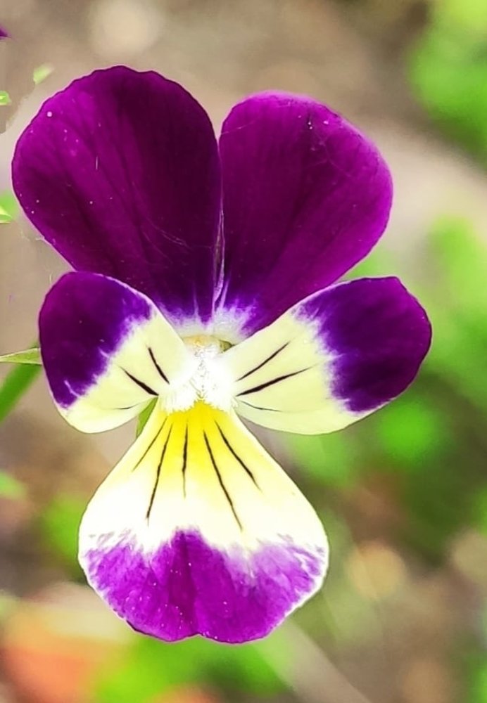 Photograph by Ирина Демидова