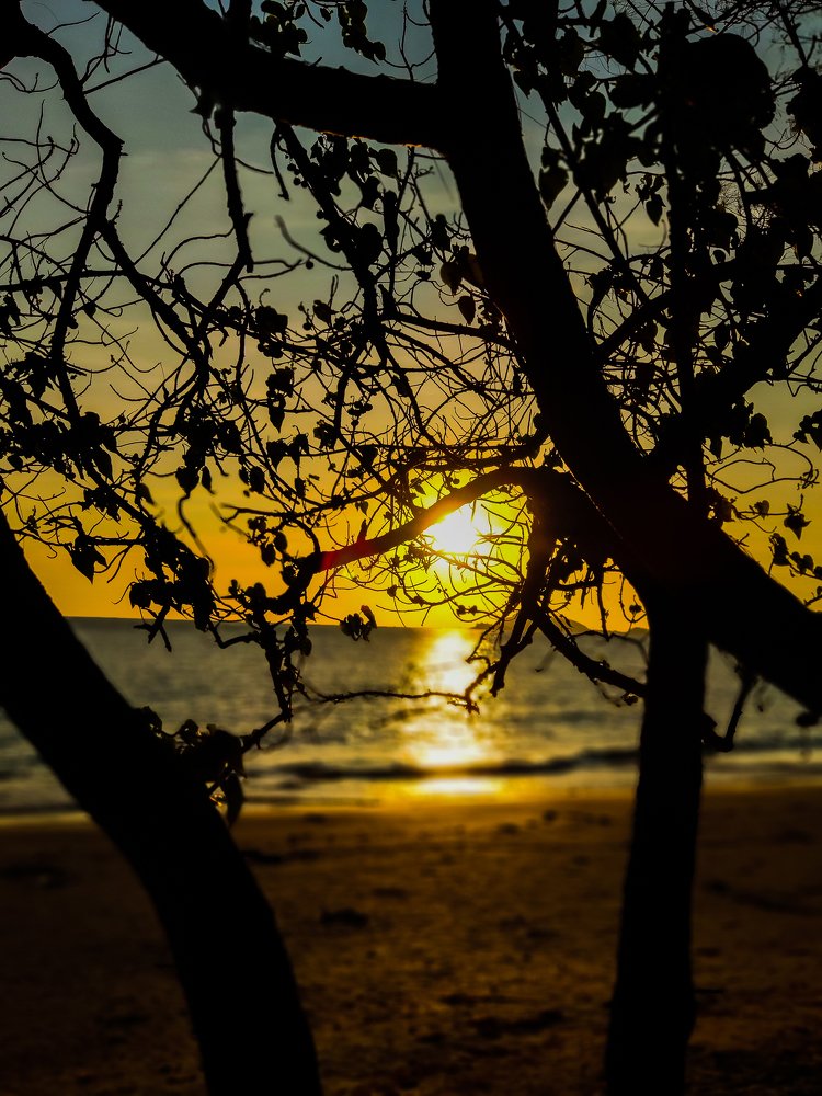 Photograph by TYM XS