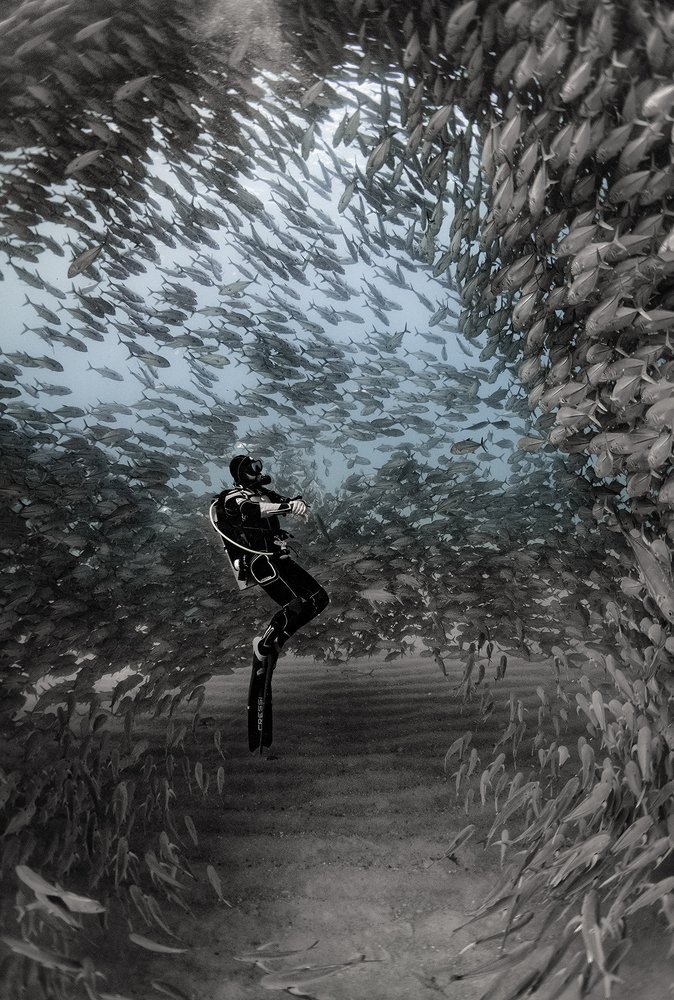 Фотография автора rolando di lauro