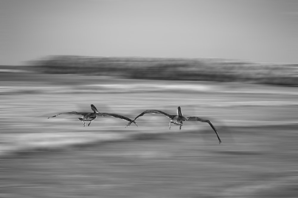 Фотография автора Yako Laverde