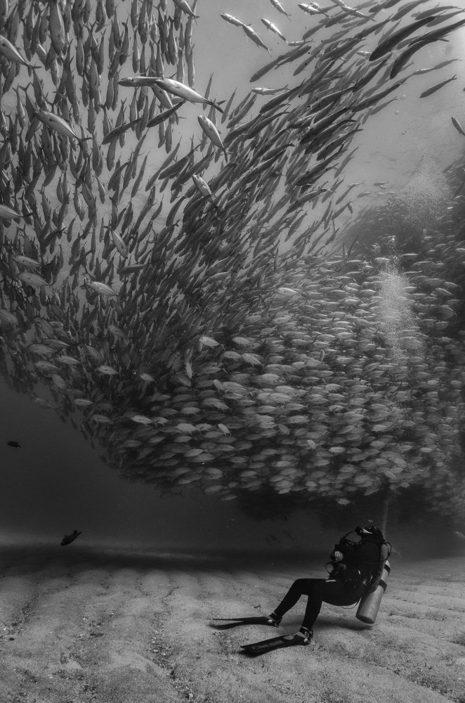 Фотография автора Rolando di lauro