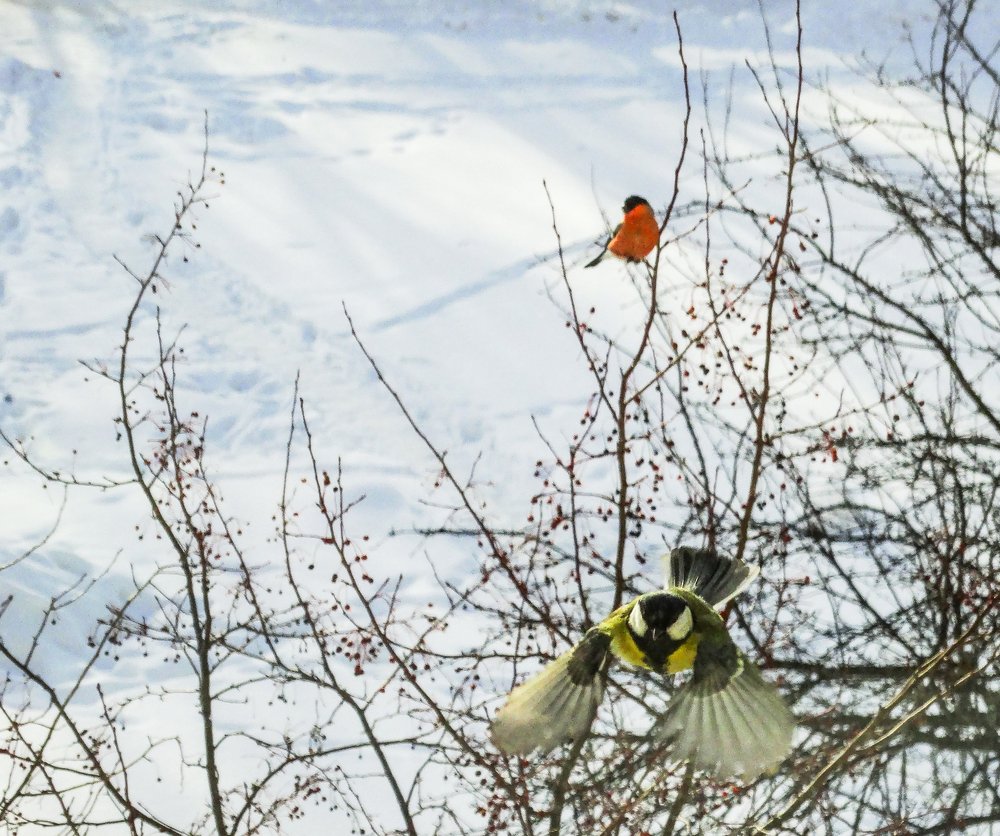 Photograph by Григорий Сергеевич