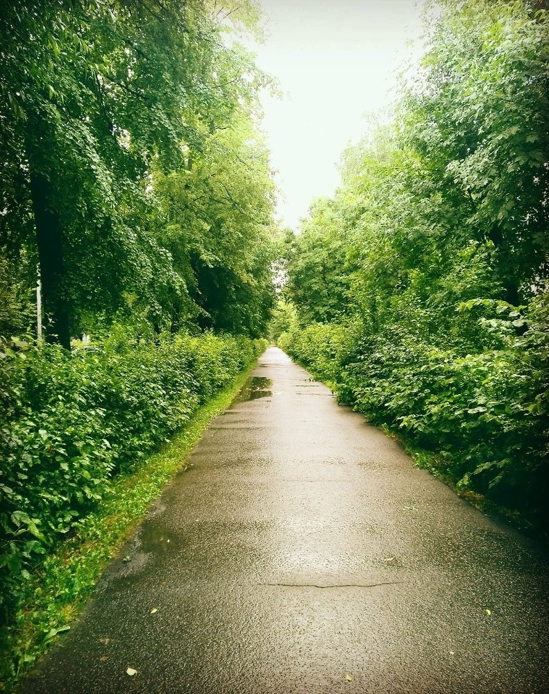 Photograph by Герман Штерн
