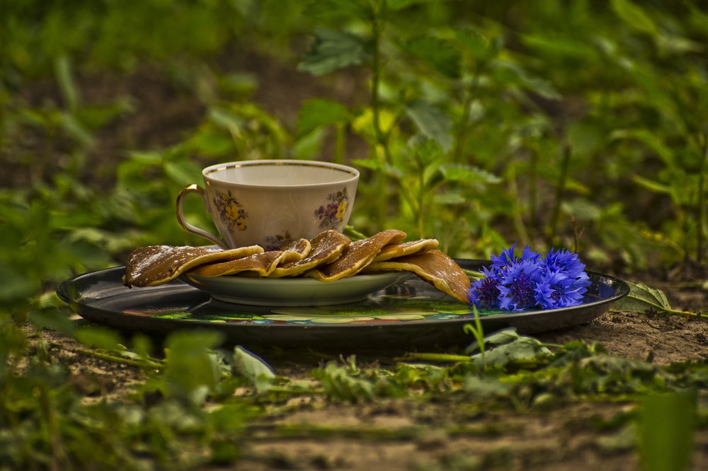 Photograph by Дмитрий Жижин