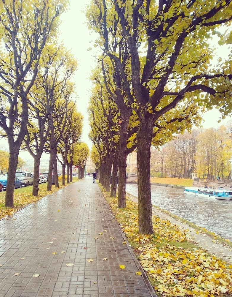 Photograph by Герман Штерн