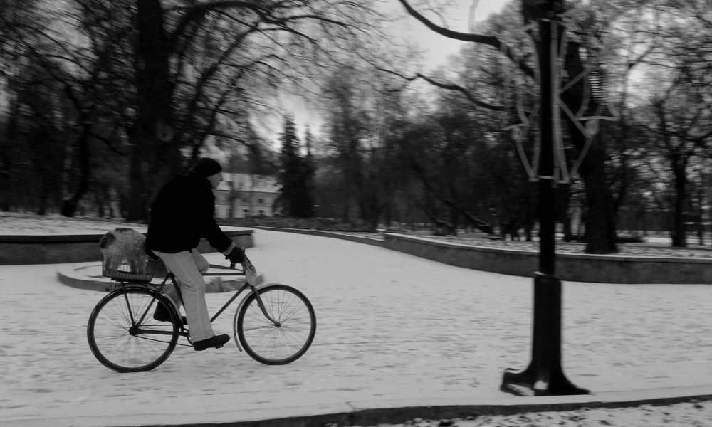 Зимняя прогулка