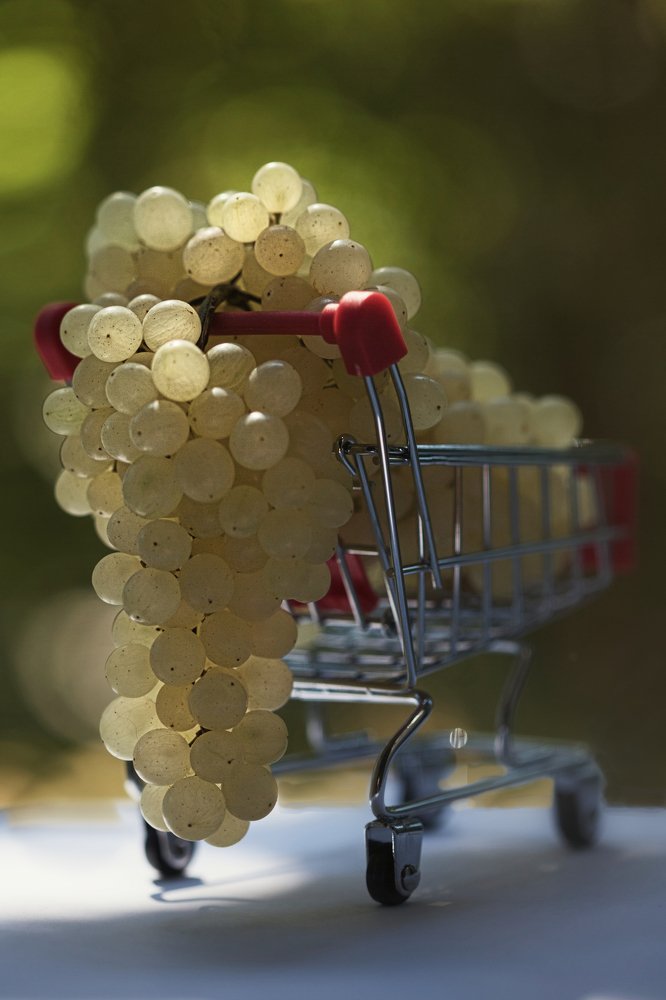 Photograph by Светлана Алексеева