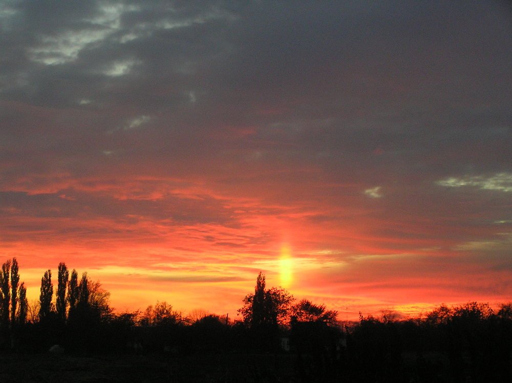 Photo #4896365