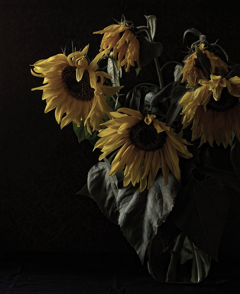 Photograph by Леонид Снег