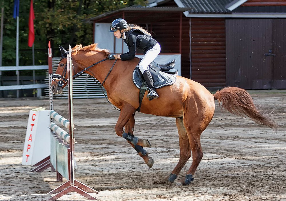 Готовность к прыгать