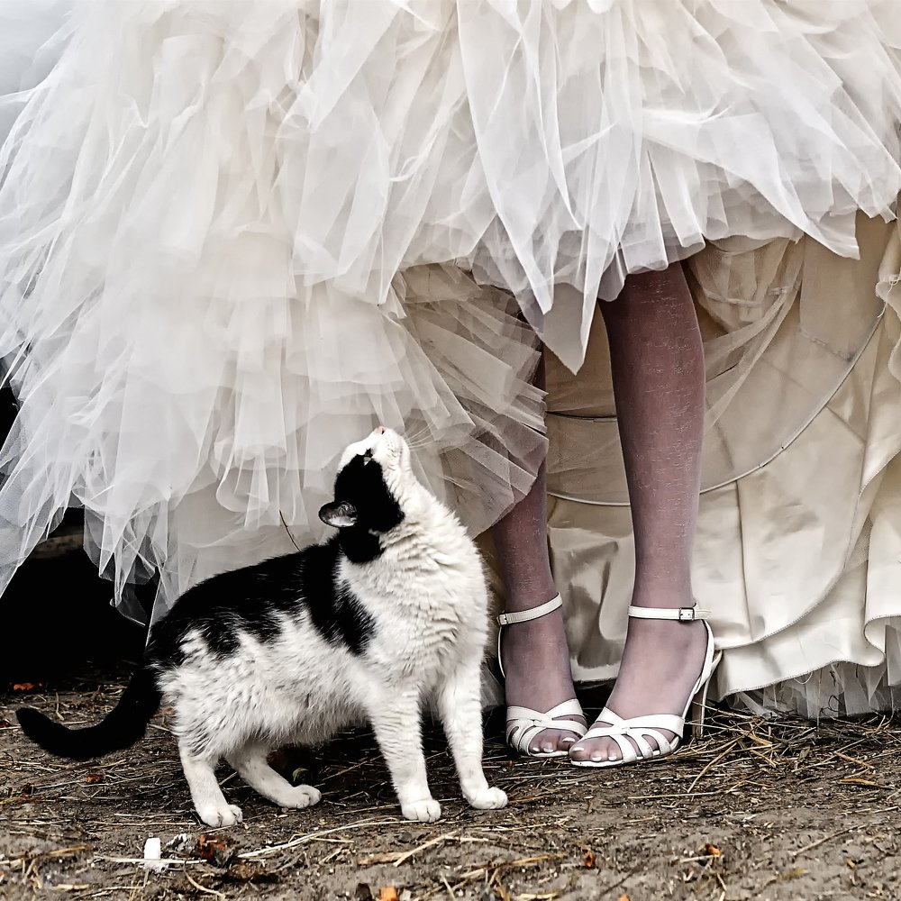 Photograph by Леонид Снег