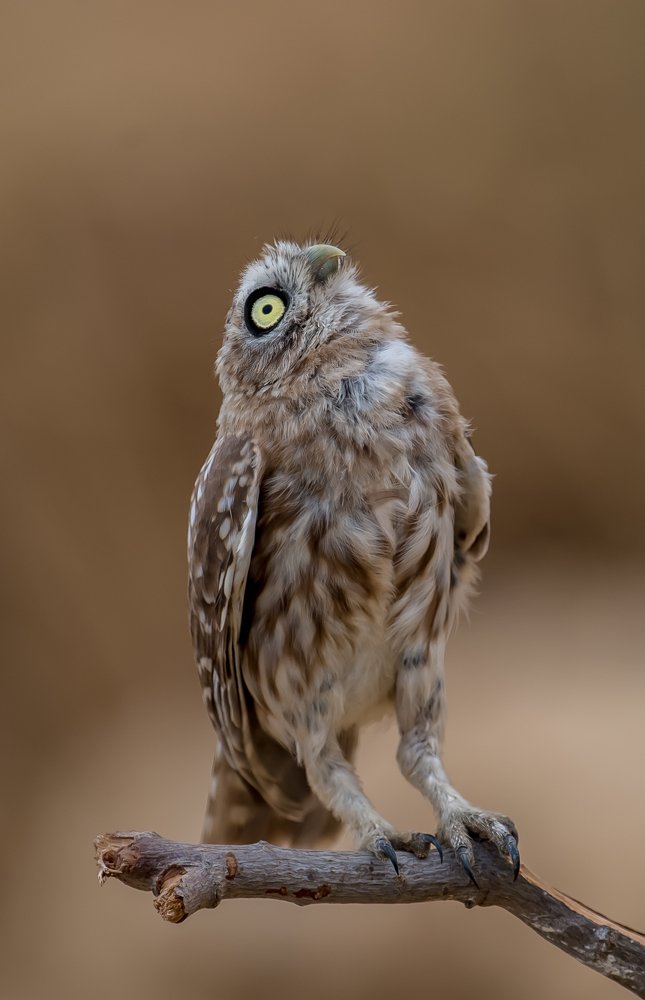 Photograph by Виктор Бондарев