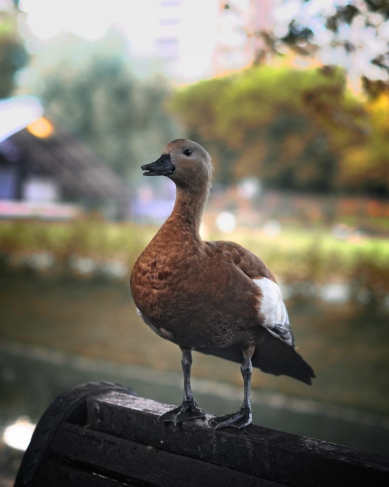 Photograph by Леонид Снег