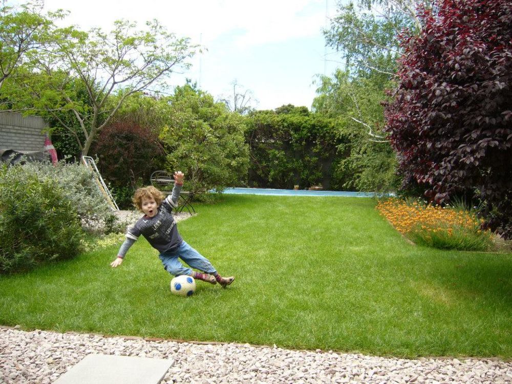 Dreaming Football