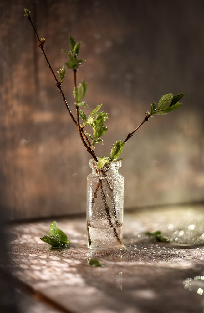 Photograph by Оксана Куприянова