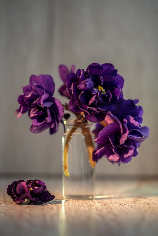 Photograph by Оксана Куприянова