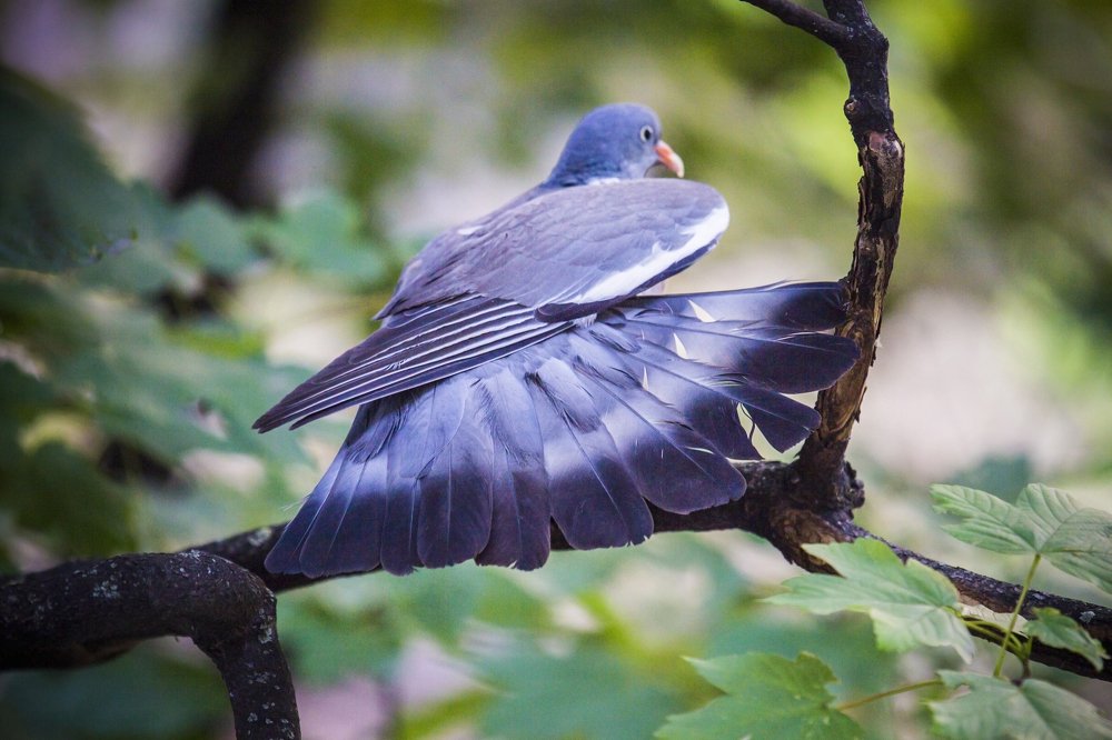 Photograph by Jelena Potrebic