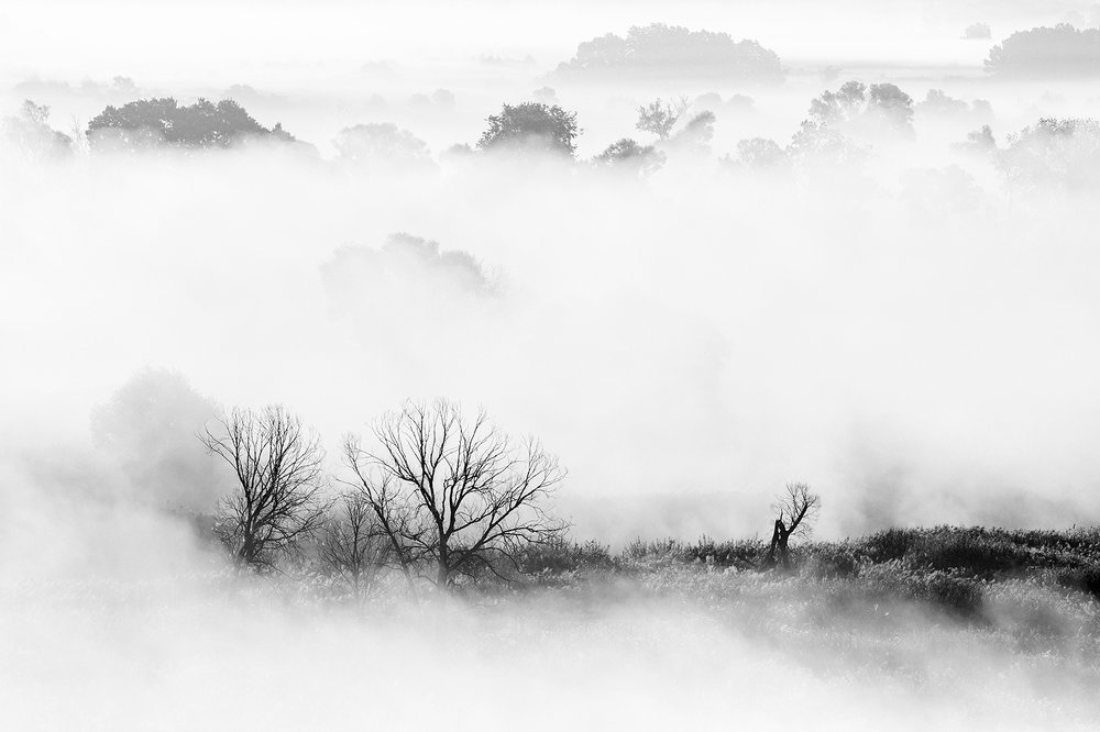 Фотография автора Юрий Сорокин
