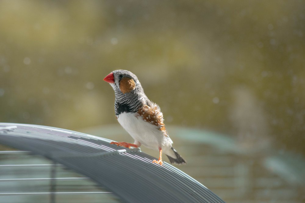 Photograph by Дарья Зайцева