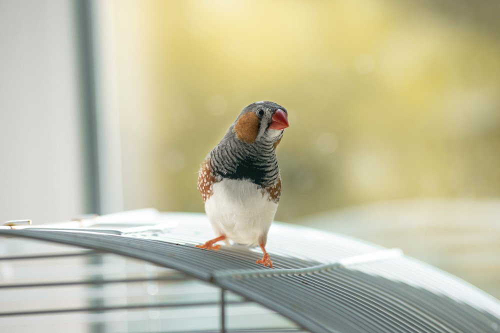 Photograph by Дарья Зайцева