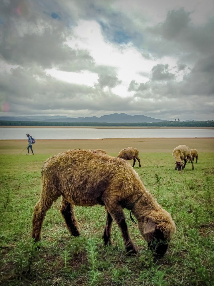 Photograph by Álvaro Luna Castillejos