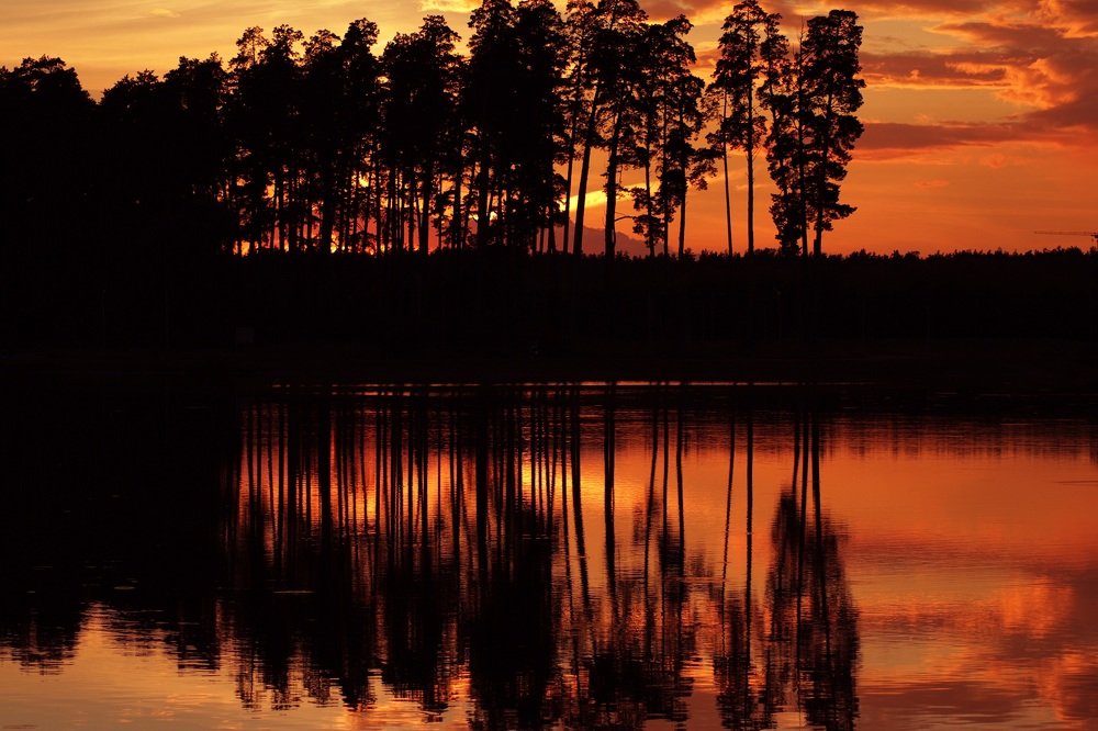 Photograph by Юлия Шабалдина