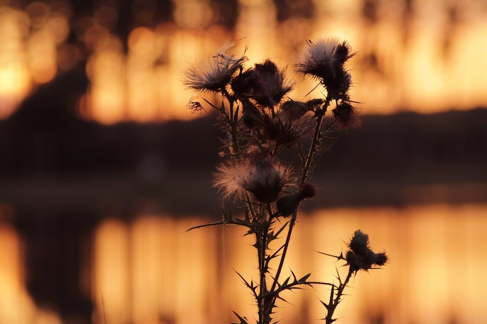 Photograph by Юлия Шабалдина