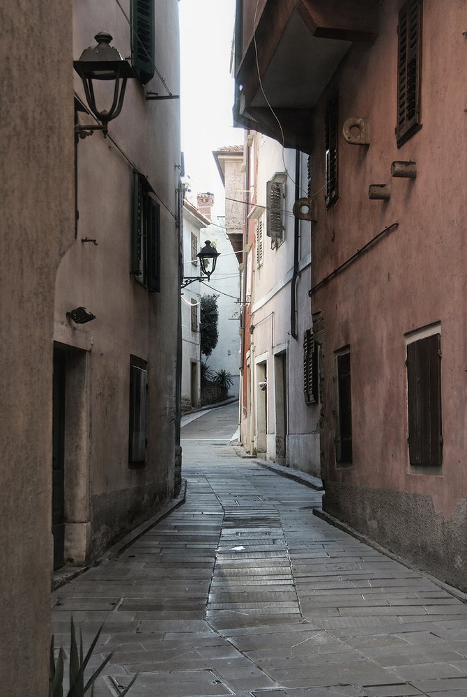 В переулочках Муджии