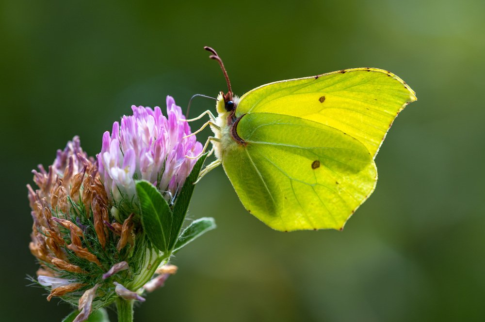 Photograph by Дмитрий Крючков