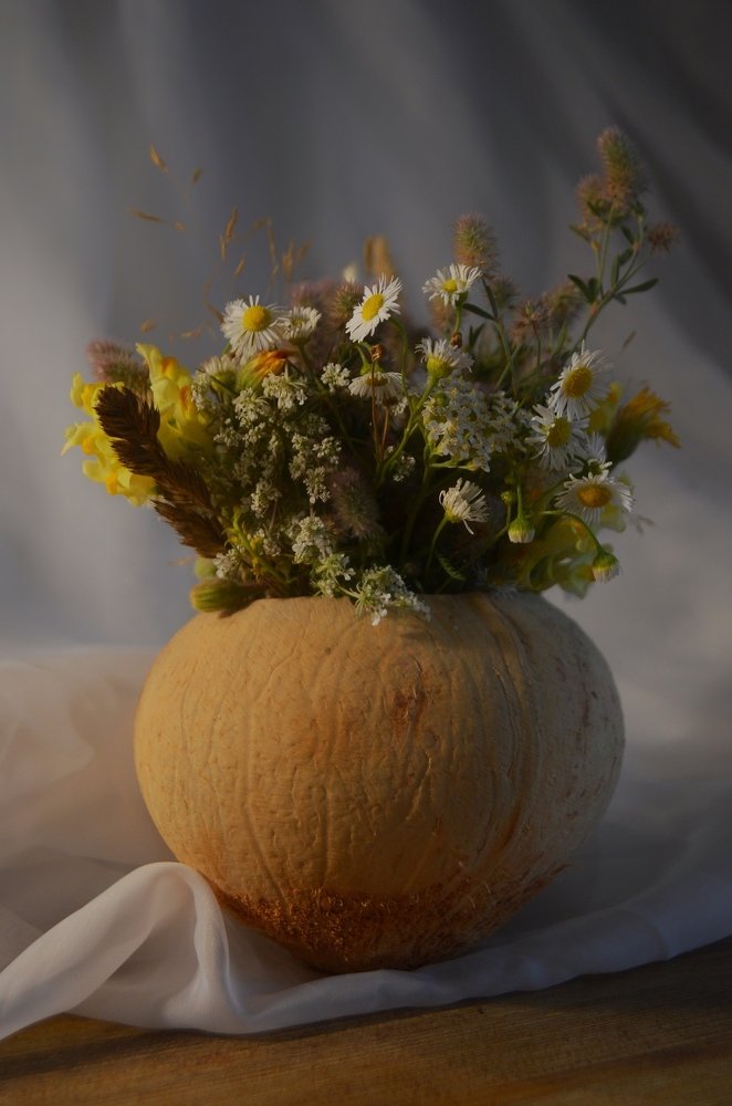 Фотография автора Евгения Илина