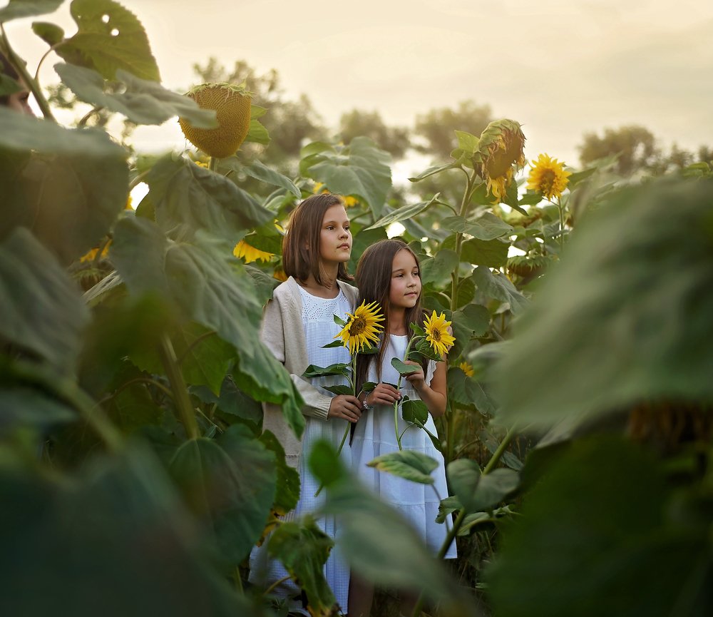 Photograph by Małgorzata Oleksa