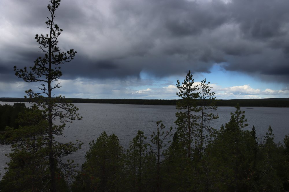 Photograph by Надежда Васильева