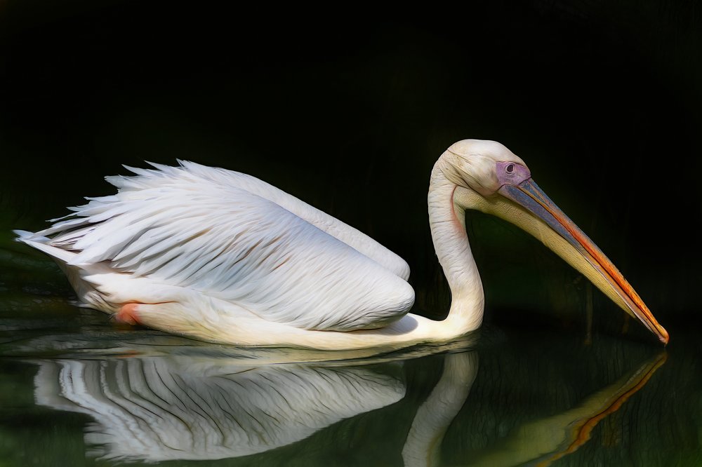 Photograph by Лея Лерер