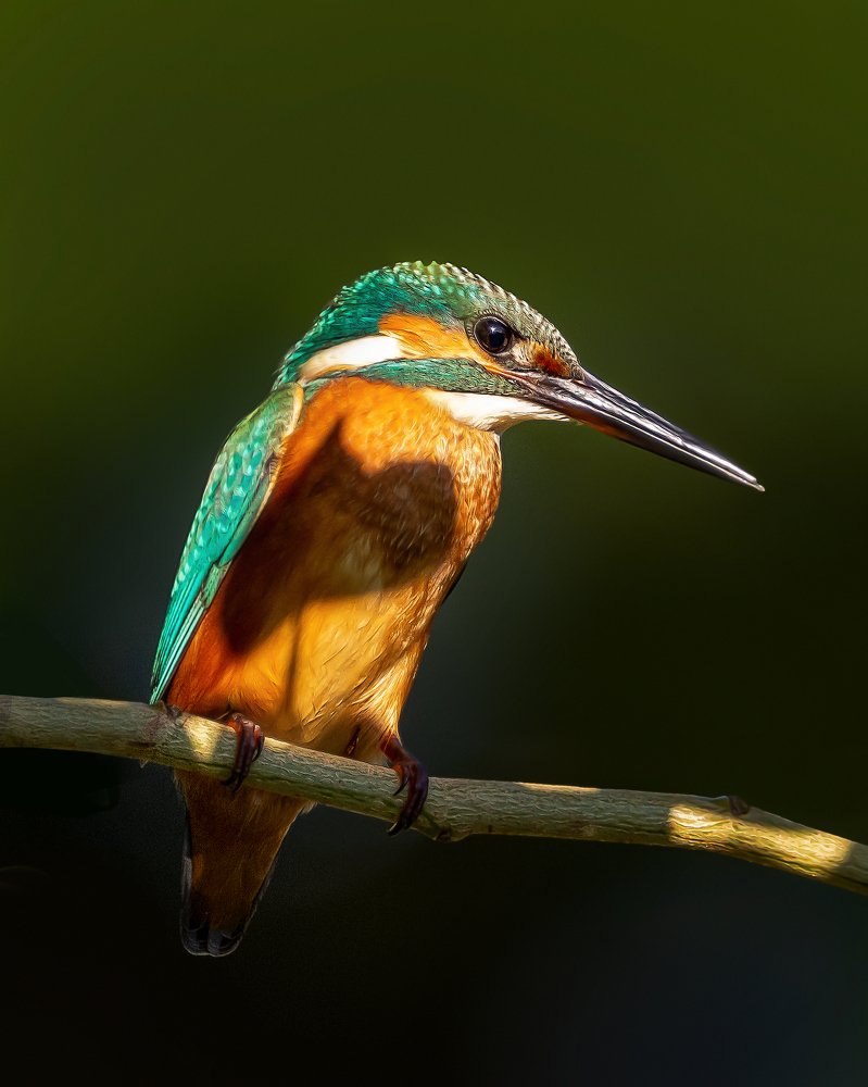 Photograph by Лея Лерер