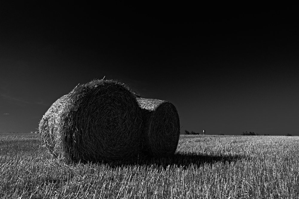 Photograph by Евгений Козлов