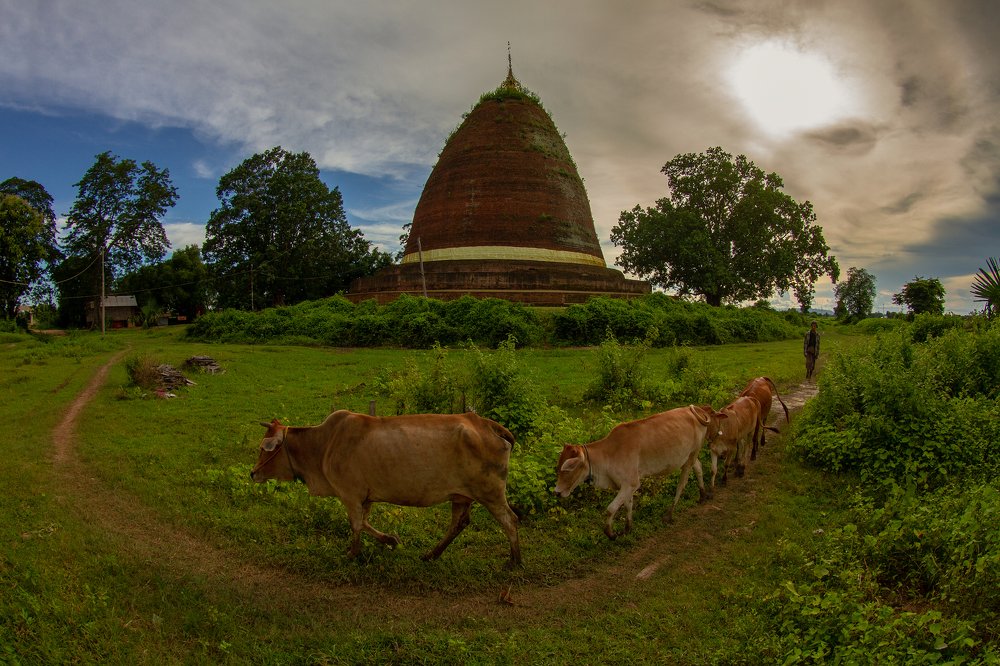 Photograph by aungzaw myint