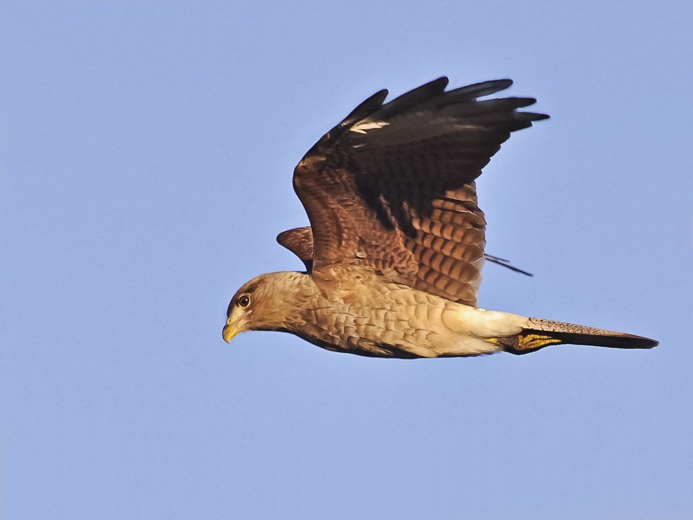 Photograph by Martha Alicia Moreschi