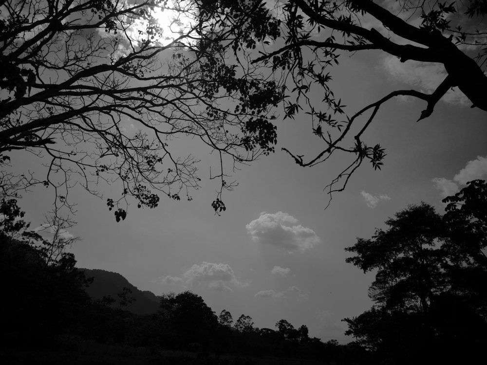 Photograph by Jhonny Paredes