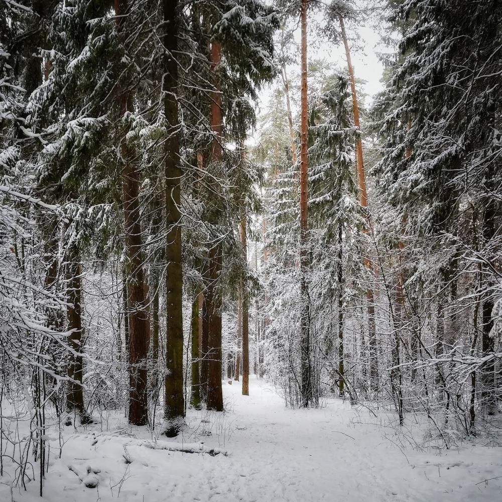 Photograph by Ольга Павленко