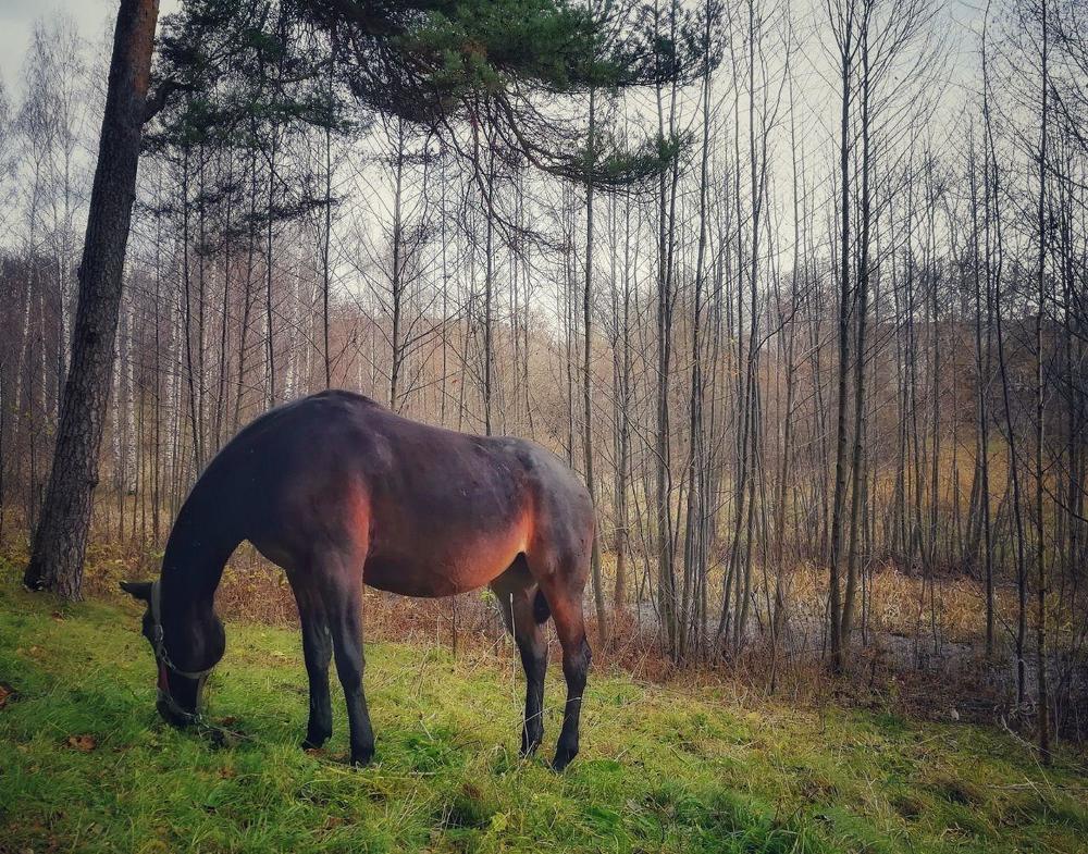 Photograph by Ольга Павленко